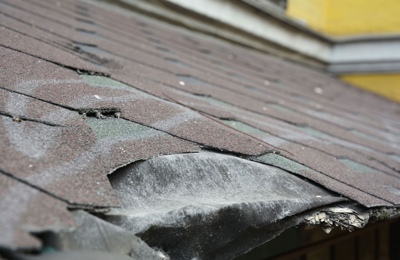 McGregor Roofing Images