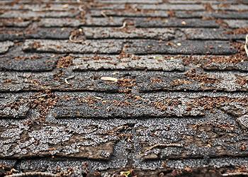 McGregor Roofing Images